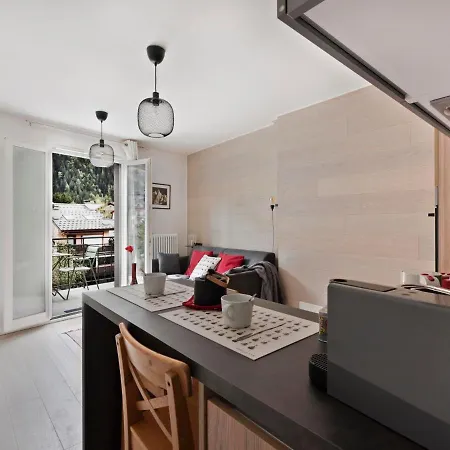 Apartment Le Paccard-1 By Interhome Chamonix